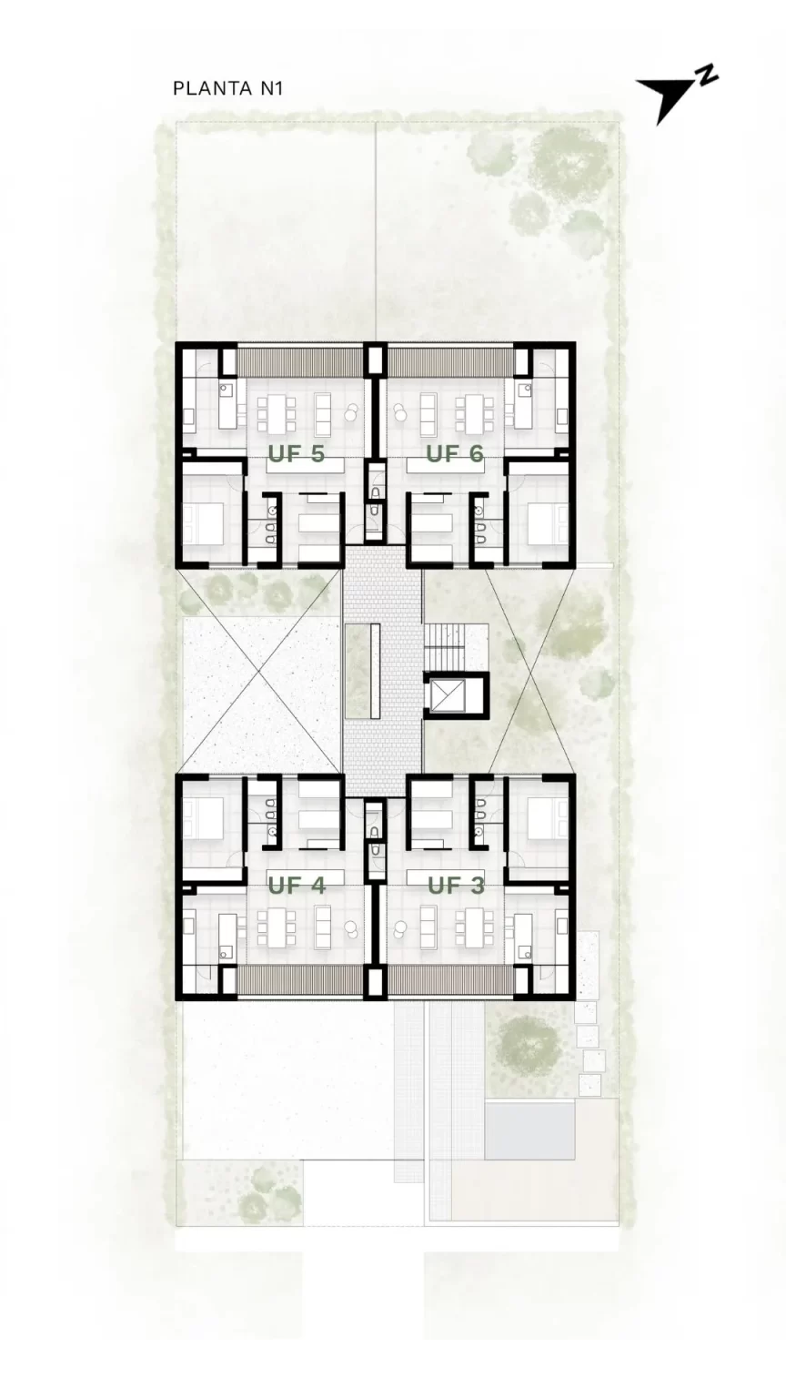 Plantas pellegrini celu 2