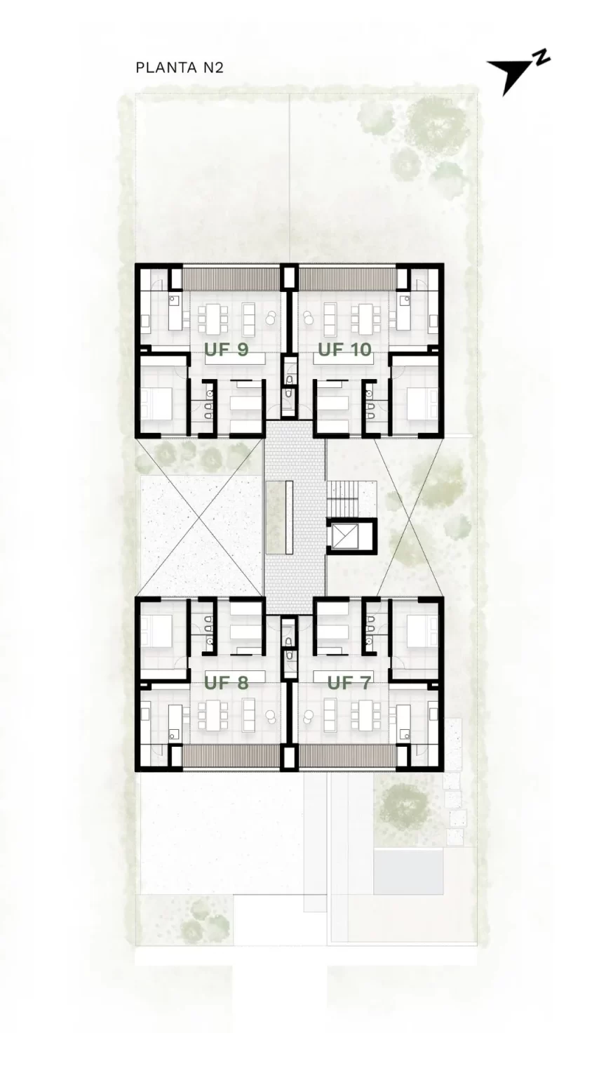 Plantas pellegrini celu 3